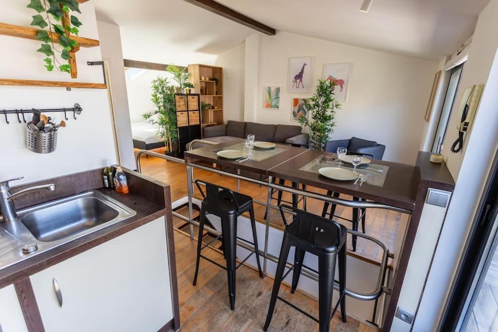 Roof Top In Center Of Toulouse-Free Parking- Apartment Exterior photo